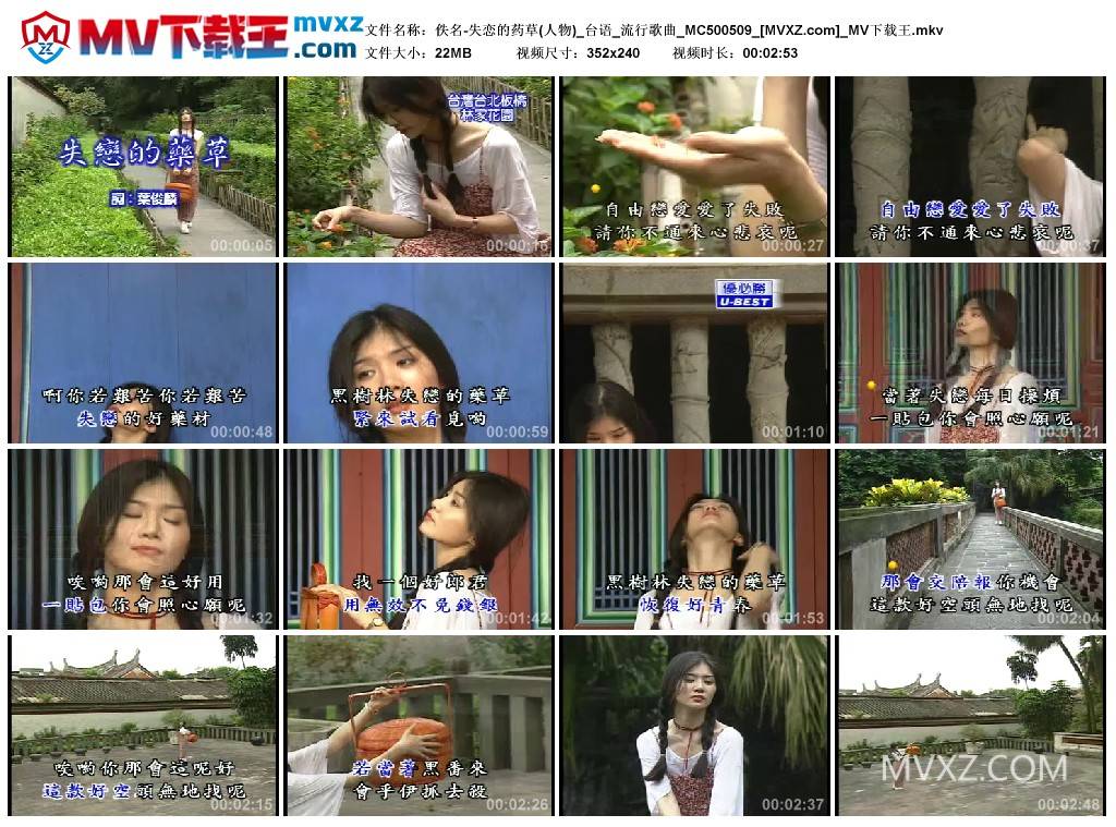 佚名-失恋的药草(人物)_台语_流行歌曲_MC500509